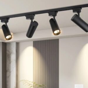 2 metra sine i 4 topa